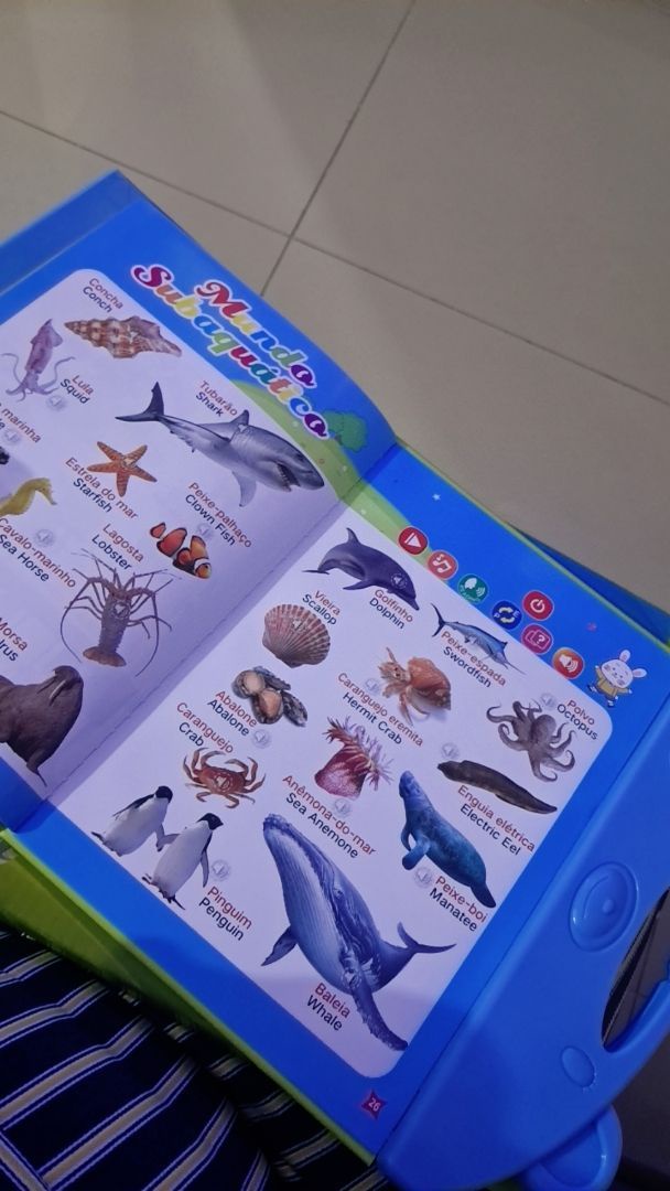 Página bilíngue do alfabeto no Meu E-Livro